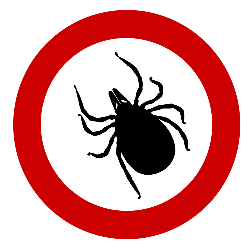 Borreliose Spätfolgen