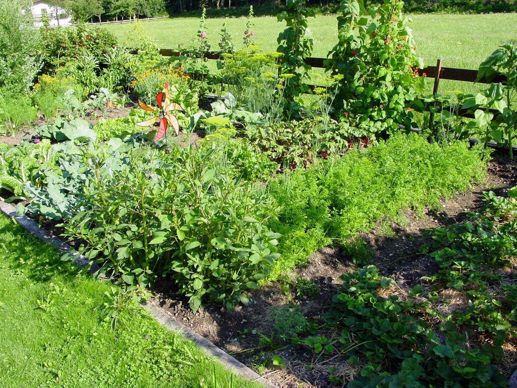 Wie wird mein Garten zum Biogarten? Naturnaher Garten – die 16 besten Tipps!