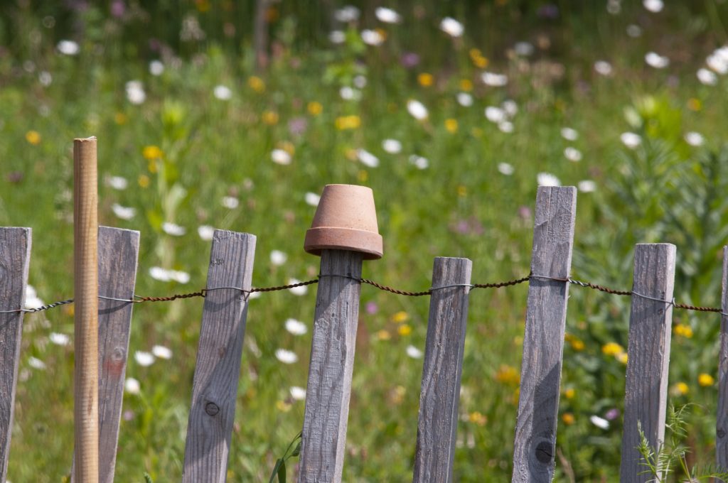 Naturnaher Garten