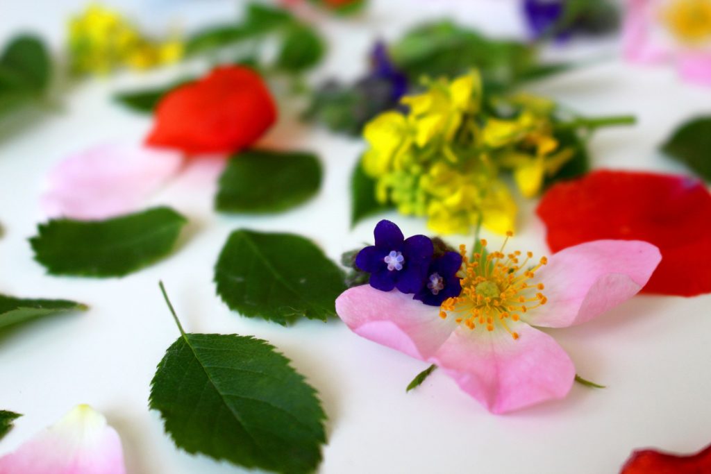 Bachblüten