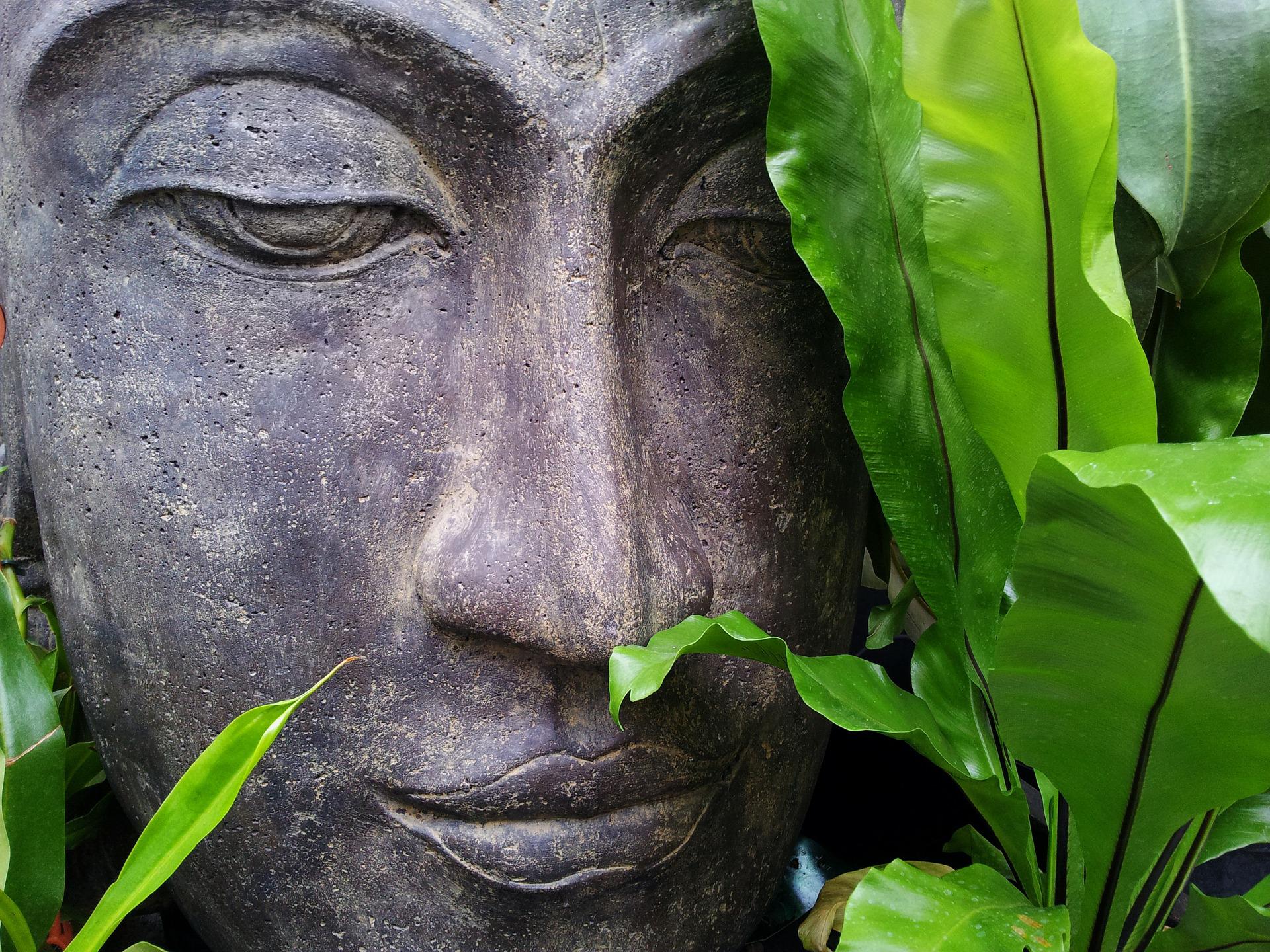 Was bringt mir Resilienz und die Resilienzfaktoren? 7 Säulen der Resilienz und Tipps zur Umsetzung
