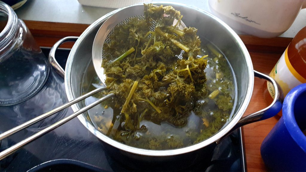 Hildegard von Bingen Rezepte