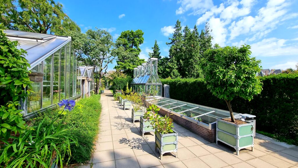 Botanischer Garten