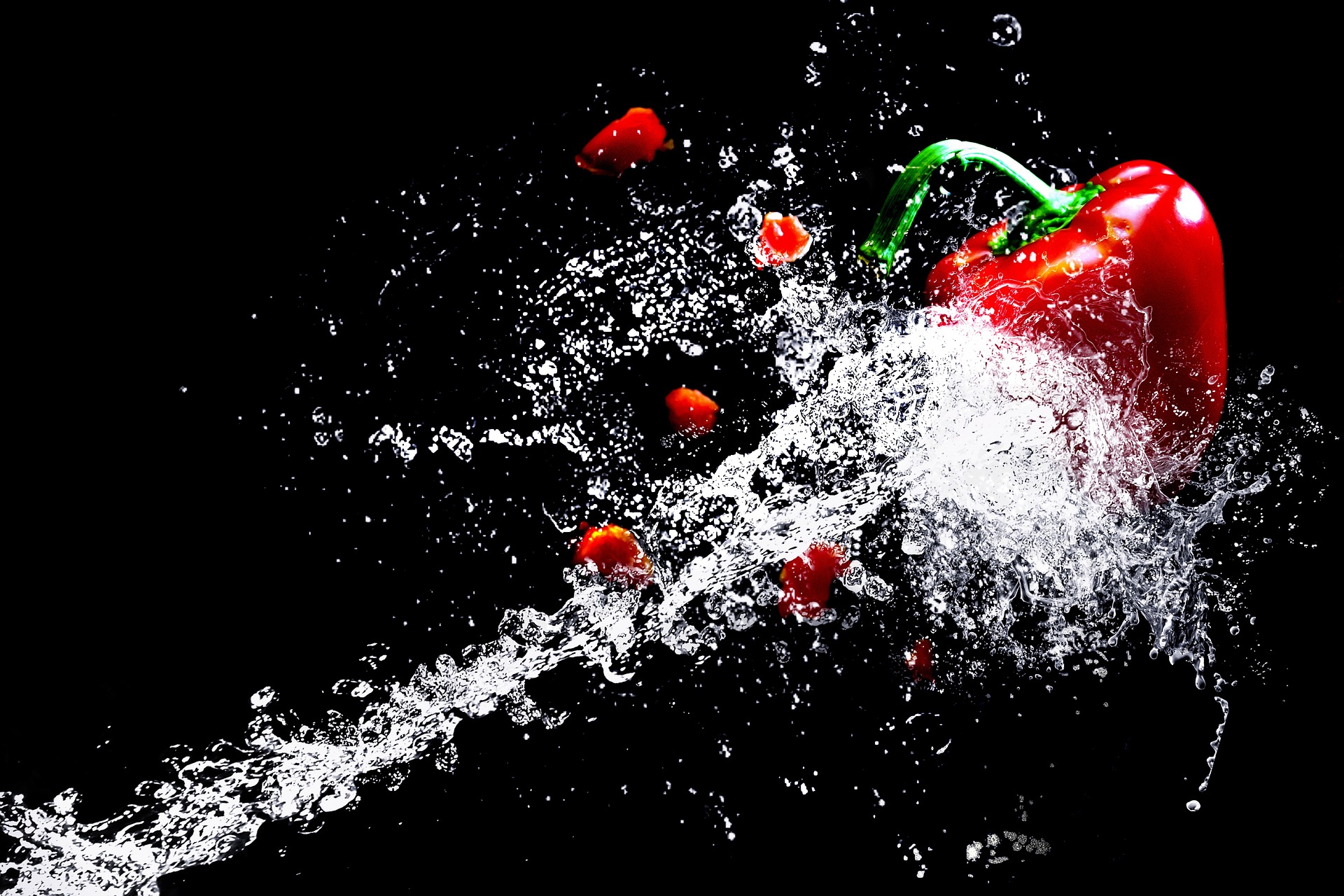 Sous Vide Garer – Was Du damit zubereiten kannst und worauf Du achten solltest