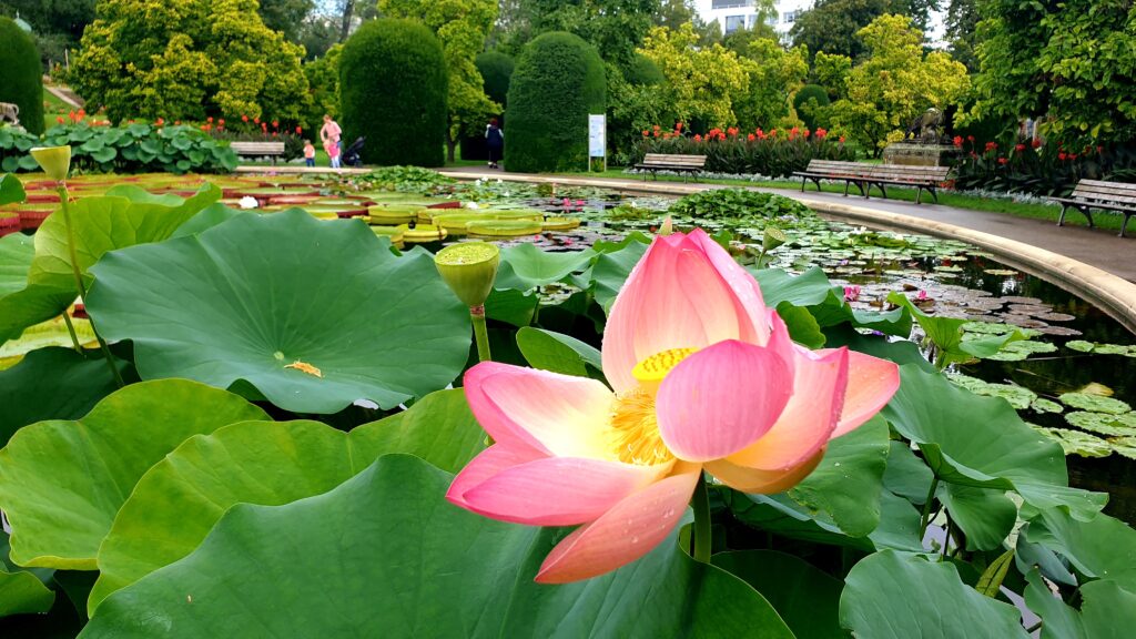 Botanische Gärten der Welt