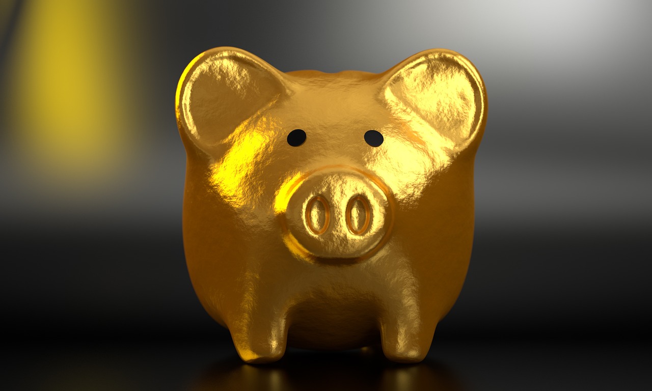 Willst du Millionär werden? Das Millionärs – Mindset!