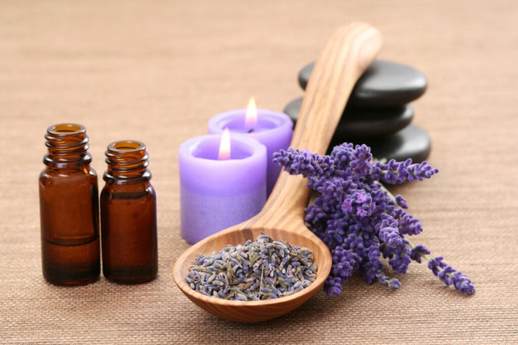Lavendel als Heilpflanze